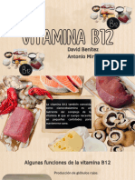 Vitamina B12: David Benitez Antonio Miranda