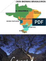 Cerrado e Pantanal Brasileiro