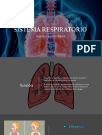 Sistema Respiratorio Natalia