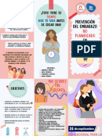 Prevencion Del Embarazo No Planificado en Adolescentes