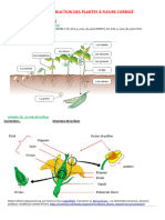 Chapitre 2 Reproduction Plantes a Fleurs Corrige 2024