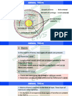 Animal Tissue l5