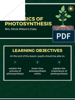 The Basics of Photosynthesis in Plants Educational Presentation in Green and Yellow Illustrative Style