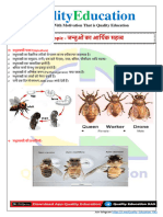 Economic Importance of Animal Class-48