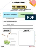 Estaciones de Aprendizaje Clasificación Plantas