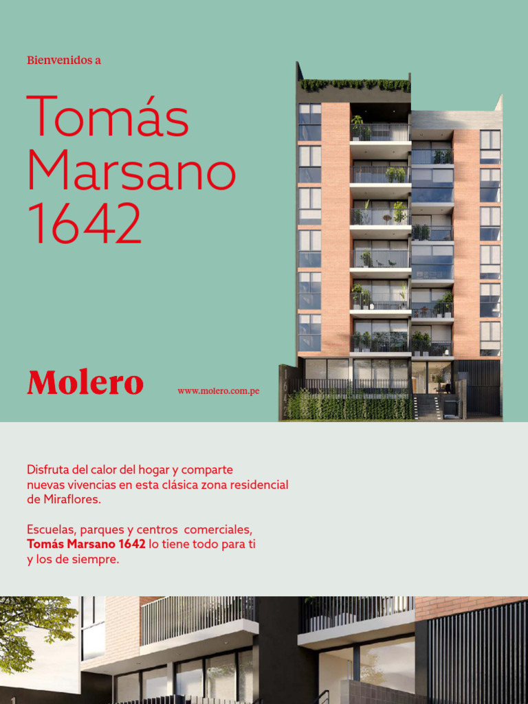 Brochure Tomas Marsano Molero 1 1 PDF