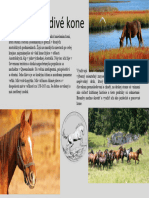 Austrálske Divé Kone