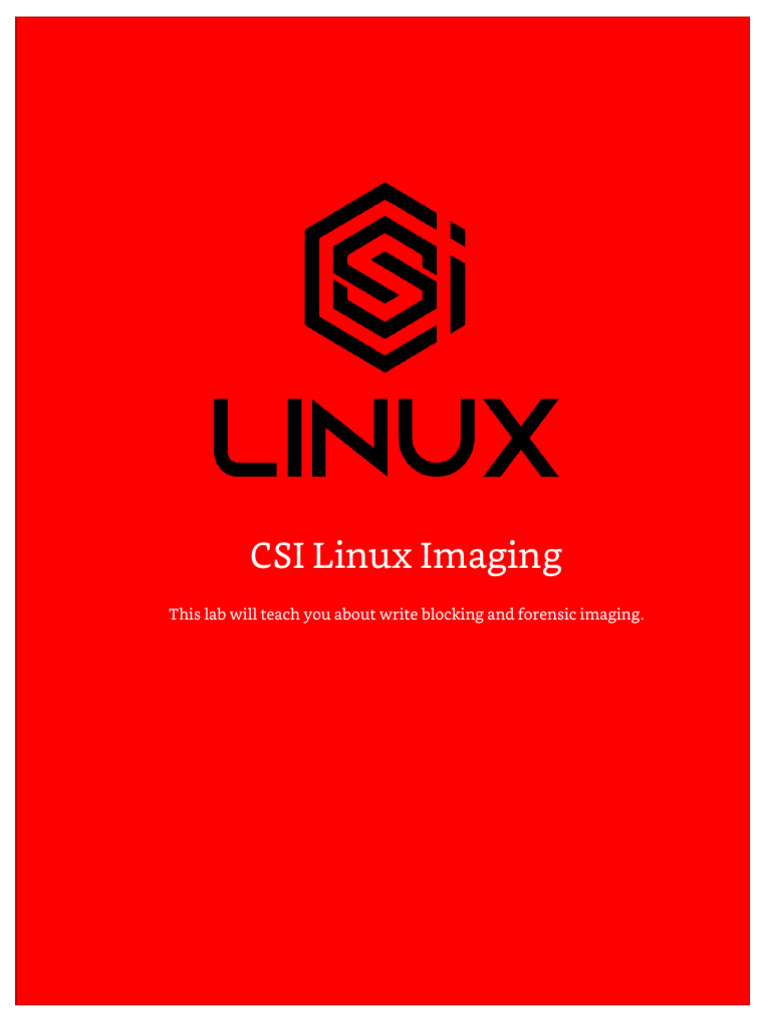 CSI Linux - Levels of Data Recovery and Imaging | PDF | Computer File ...