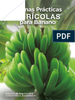 Guía de BPA para Banano Jul - Compressed