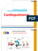 Reanimación Cardiopulmonar