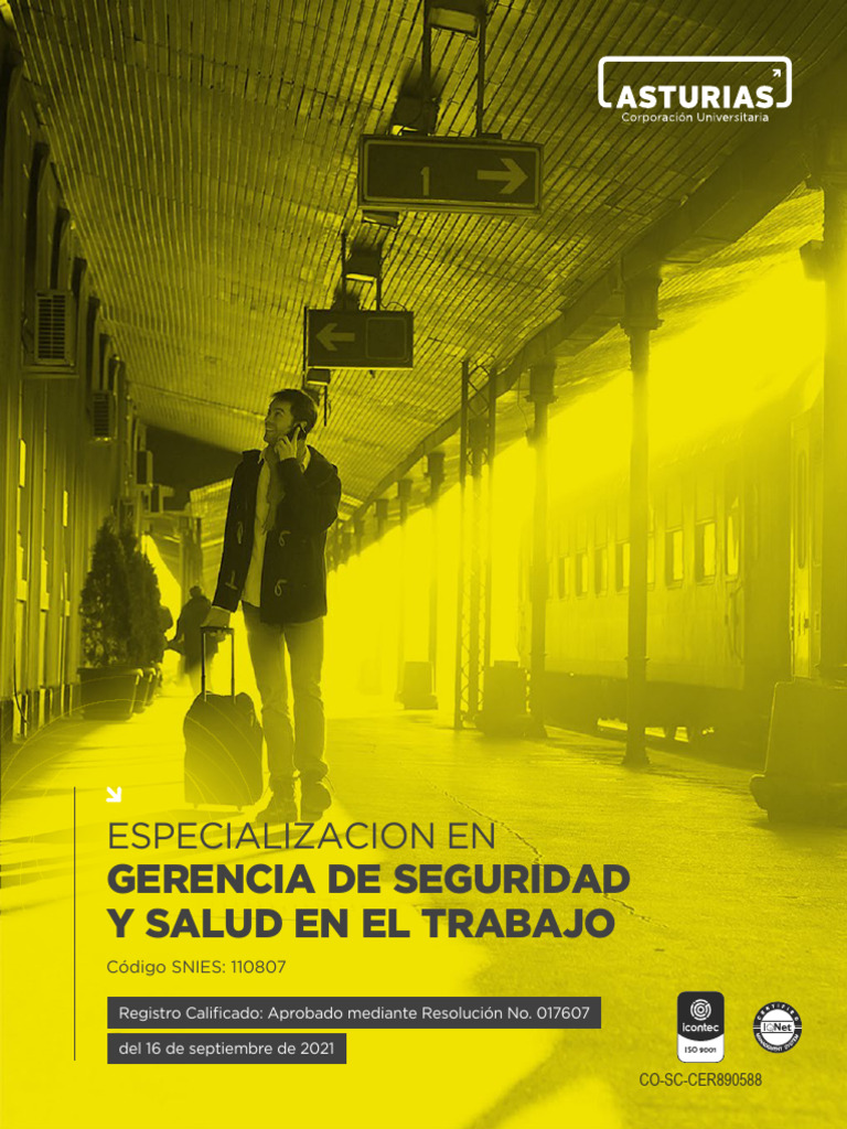 Gerencia De Seguridad Y Salud En El Trabajo Pdf Business Madrid