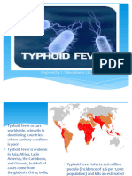 Typhoid Fever