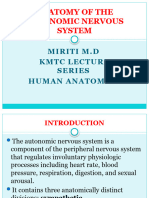 Anatomy of The Autonomic Nervous System