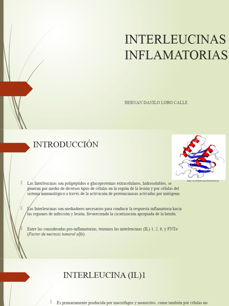 Interleucinas Inflamatorias | PDF | Inflamación | Citocina