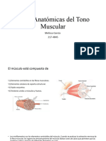 Bases Anatómicas Del Tono Muscular - Melissa