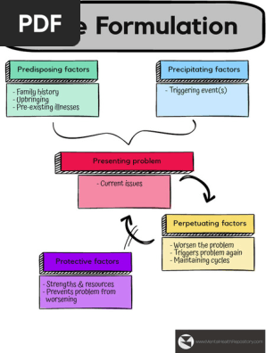 case-formulation