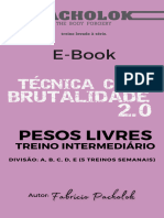 Treino Intermediário A B C D E - Pesos Livres