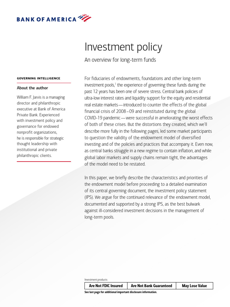 Investment Policy An Overview For LongTerm Funds PDF Market
