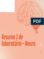 Resumo 1 de Laboratório - Neuro
