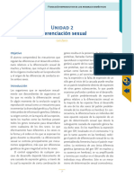 Formacion de Las Gónadas Indeferenciadas