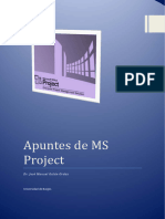 Apuntes MS Project