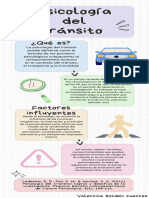 Infografía Psicología Del Tránsito