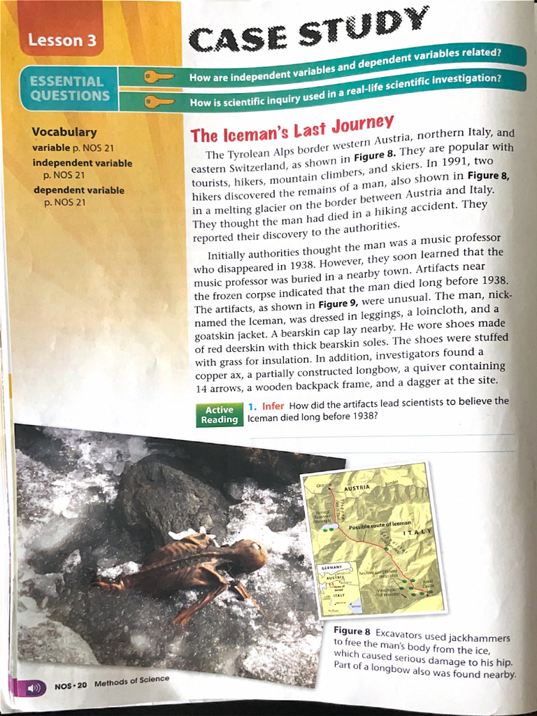 O?Tzy+Case+Study+ | PDF