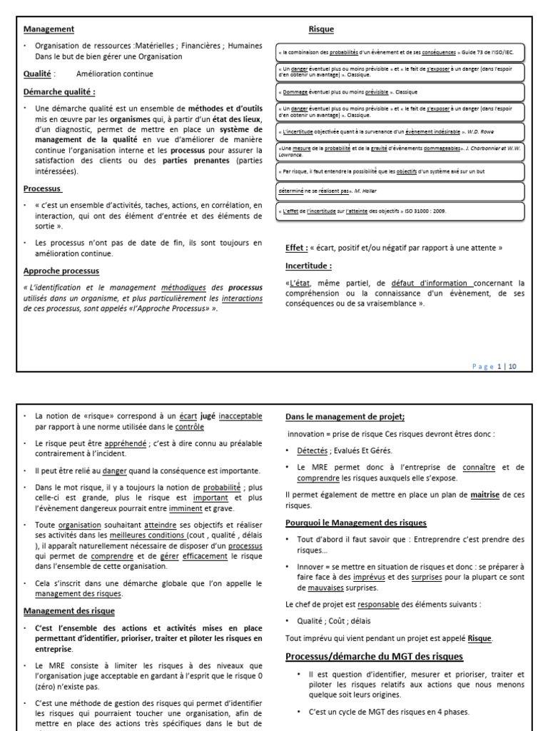 Management des Risques en Entreprise | PDF | Risque | Gestion des risques
