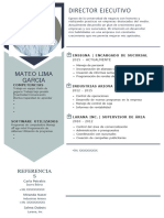 Curriculum Corporativo