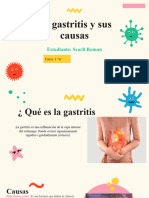 Gastritis y Sus Causas Scarli Roman