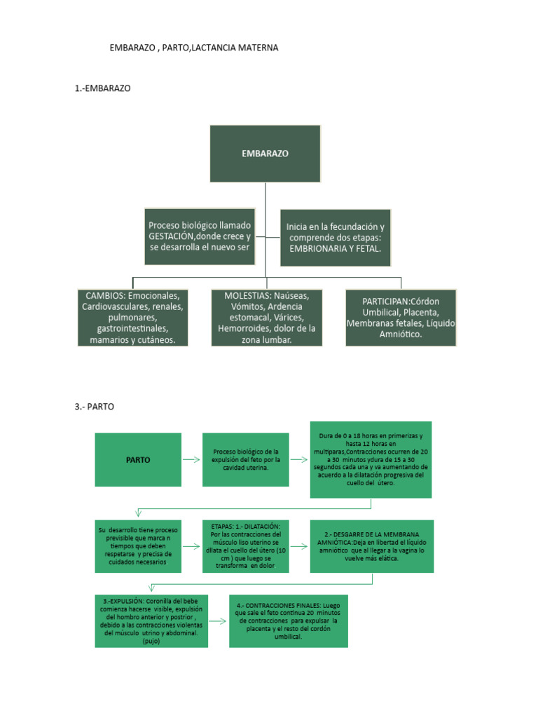embarazo-pdf-control-de-la-natalidad-parto