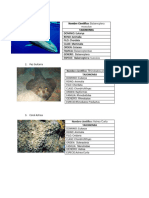 Tarea4 Taxonomia