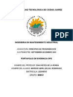 Portafolio de Evidencia DFD