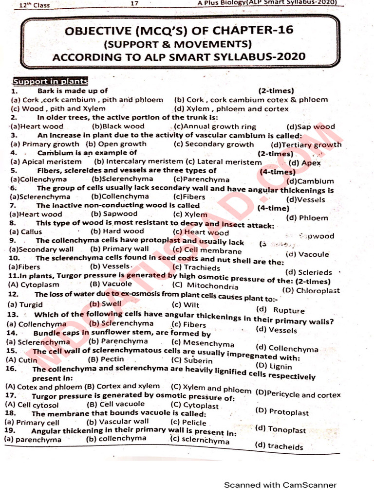 A+ Biology Model Paper Class 12 | PDF | Science & Mathematics