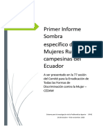 Sipae 2020 Informe Sombra Mujer Rural