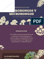 Presentacion de Macrohongos y Microhongos