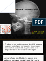 1 .Anatomia y Patologia Craneo