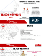 Expo Tejido Nervioso