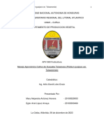 Guayaba Taiwanesa Informe