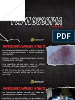 Papiloscopia - Clase 3pdf