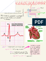 Generalidades de Ecg