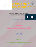 Division Social Del Trabajo y Comunicacion Humana