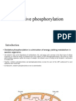 Oxidative Phosphorylation
