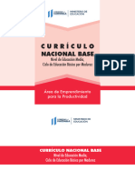 CNB Básico Por Madurez - Emprendimiento