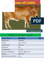 Diseases of Live Stock & Poultry