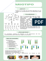 Infografía Cariotipo