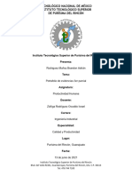 Portafolio de Evidencias 3er Parcial