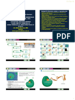 Catedra UNIDAD-IV División Celular-Reproducciónbiologia General CBB-101-INTEC2019