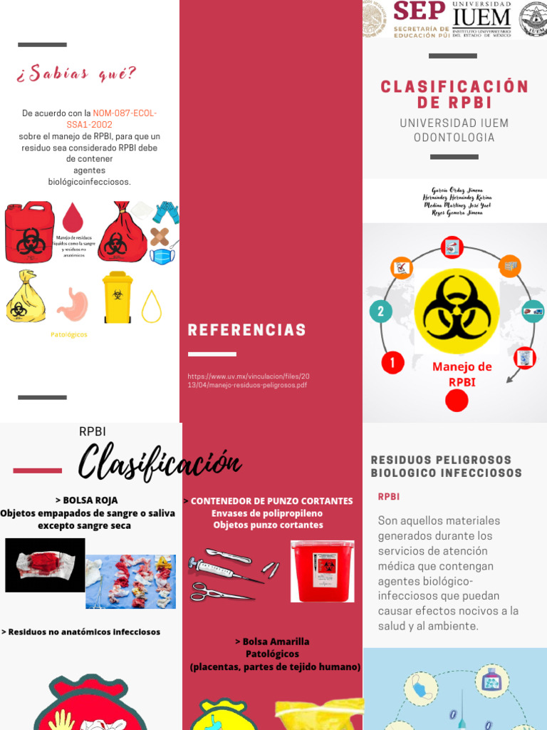 RPBI | PDF | Especialidades Medicas | Ciencias de la Salud