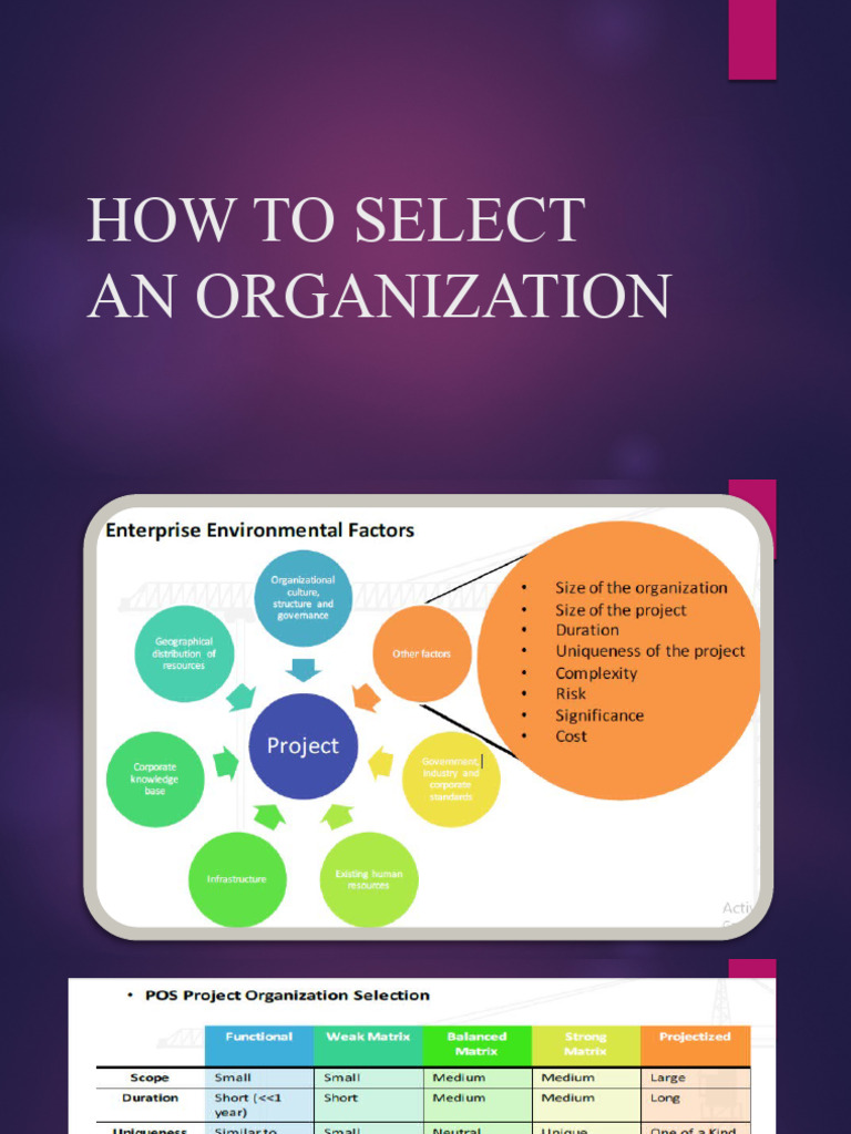 How To Select An Organization - Lec 3 | PDF | Project Management | Risk